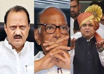 विधानसभाध्यक्षांकडून राष्ट्रवादीच्या सुनावणीचे नवे वेळापत्रक जाहीर