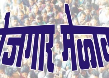 सोलापुरात 24 जानेवारीला ऑनलाईन रोजगार मेळावा