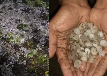 धामणगाव तालुक्यात गारपीट