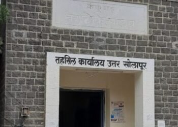 भागाईवाडीच्या सरपंच छाया जाधव यांच्यावर गुन्हा दाखल करा ; तहसीलदाराचे आदेश