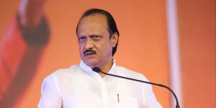 रायगडची जागा राष्ट्रवादीला, तुमच्या मनातील उमेदवार मिळणार, अजित पवारांची जाहीर सभेत घोषणा…