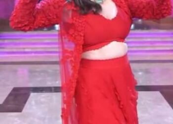 ‘गुलाबी साडी’ची बॉलिवूडमध्ये हवा; माधुरी दीक्षितने सुध्दा केली रिल