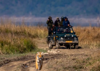 जिम कॉर्बेट प्रकल्पातील कोअर एरियातील सफारीवर बंदी