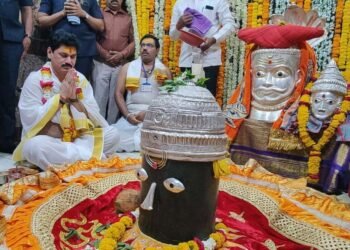 शेतकरी-कष्टकऱ्यांच्या आयुष्यात समृद्धी नांदू द्या – धनंजय मुंडे