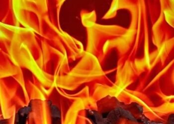 दारुची बाटली, कंडोम अन् दहा लिटर पेट्रोल, दोन भावांच्या मृत्यूची धडकी भरवणारी कहाणी