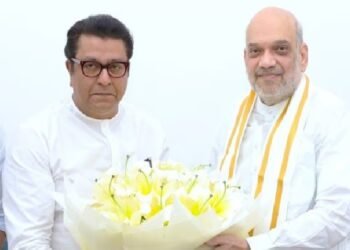 मनसे महायुतीत आल्यास कोणाचा गेम? कोण सेफ? मतांचं गणित काय सांगतं?