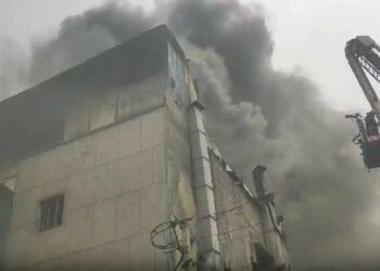 दिल्लीच्या नरेला येथील गोदामाला भीषण आग