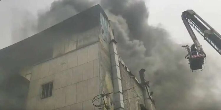 दिल्लीच्या नरेला येथील गोदामाला भीषण आग