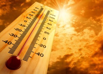 राज्यात पुढील 3-4 दिवसांत तापमानात होणार वाढ; हवामान विभागाचा इशारा