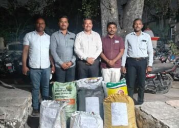 सोलापूर शहर गुन्हे शाखेच्या पोलिसांनी 15 लाखांचा गांजा जप्त करत एकाला अटक केली आहे.