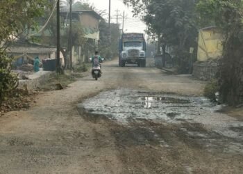 खासदार दत्तक गावाची दुरावस्था, खासदाराप्रती गावकऱ्यांमध्ये रोष