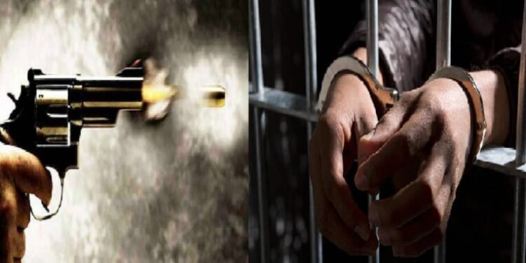 पुण्यात पुन्हा मुळशी पॅटर्न, पोलिसांवर सराईताचा गोळीबार, फिल्मी स्टाइलने पाठलाग करुन पकडलं