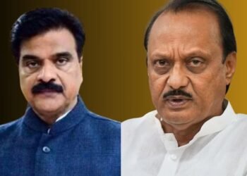 शिवतारेंना नडला, पक्षासाठी लढला, अजितदादांचा ‘आनंद’ आता का रुसला? प्रचारातून एकाएकी गायब