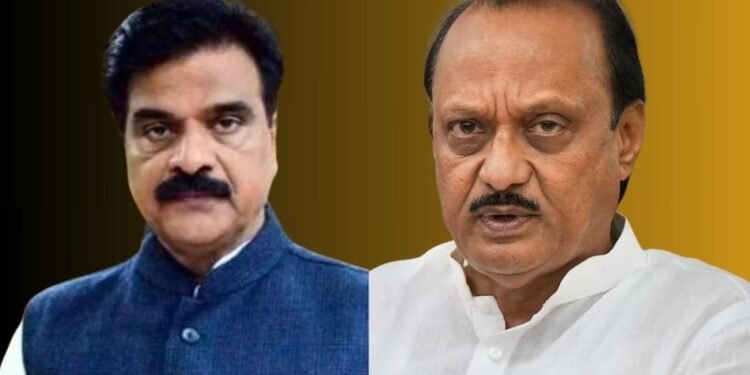 शिवतारेंना नडला, पक्षासाठी लढला, अजितदादांचा ‘आनंद’ आता का रुसला? प्रचारातून एकाएकी गायब