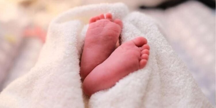 दिल्लीत नवजात बालकांच्या तस्करीचा भंडाफोड