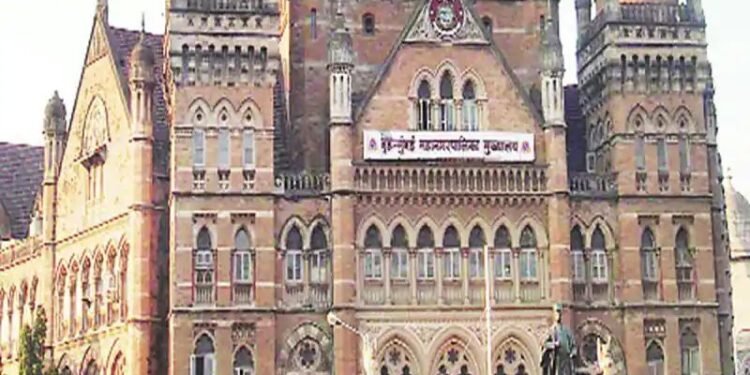 बीएमसीकडून मालमत्ताधारकांकडे पाठपुरावा