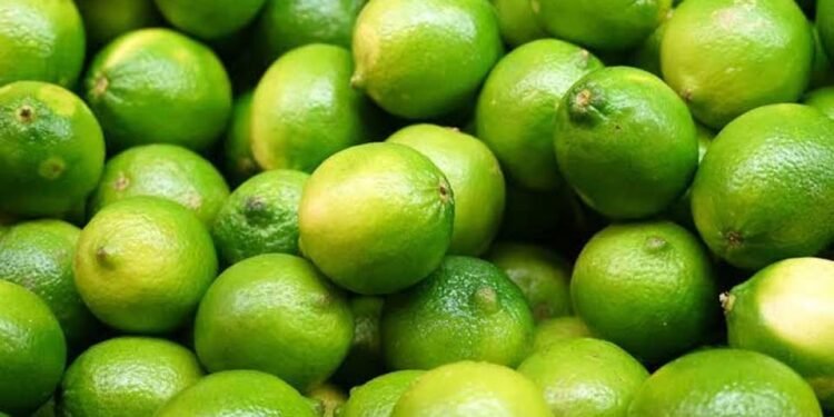 अवकाळीमुळे वाढली लिंबाची आवक