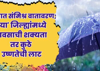 कुठे उष्णतेची लाट तर कुठे पाऊस; राज्यातील या भागात उष्णतेची लाट