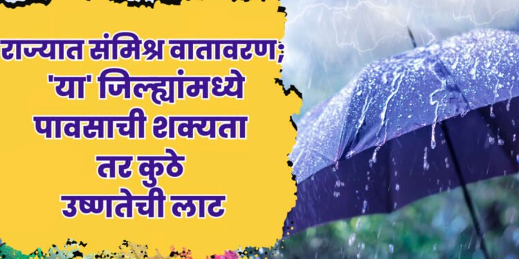 कुठे उष्णतेची लाट तर कुठे पाऊस; राज्यातील या भागात उष्णतेची लाट