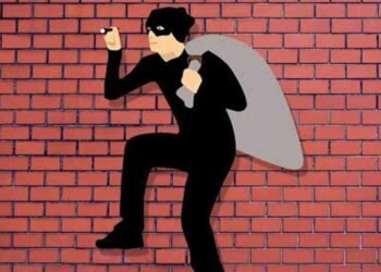 सासरवाडीला राहायला आलेला जावईच निघाला चोर