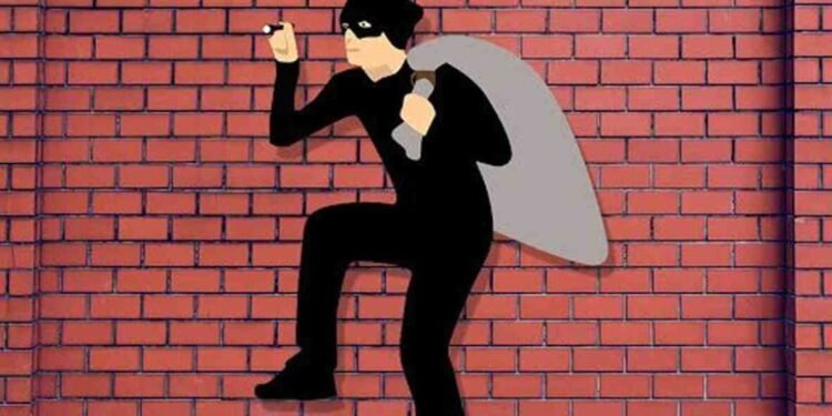 सासरवाडीला राहायला आलेला जावईच निघाला चोर