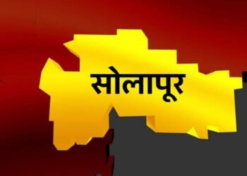 माढा लोकसभा निवडणुकीसाठी जनरल निरिक्षकपदी भारतीय प्रशासकीय सेवेतील अधिकारी रूपाली ठाकूर यांची नियुक्ती