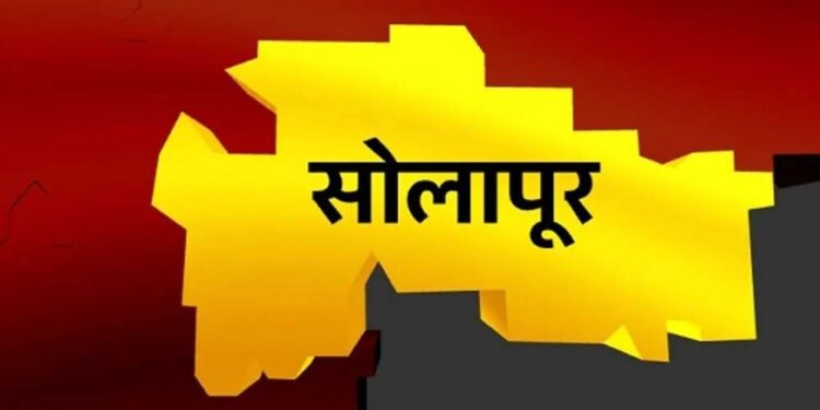 माढा व सोलापूर लोकसभा मतदारसंघात 7 मेला सार्वजनिक सुट्टी