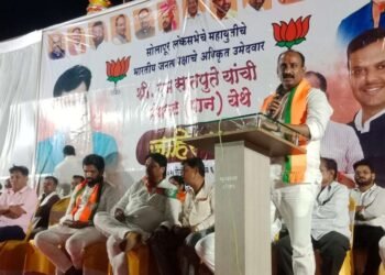 सोलापूर जिल्ह्याचा सर्वांगीण विकास करण्यासाठी भाजपला साथ देण्याचे आवाहन ; आ.सचिन कल्याणशेट्टी