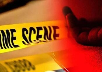 माळशिरस तालुक्यात दिवसाढवळ्या दोघांची चाकूने सपासप वार करून हत्या करण्यात आली आहे.