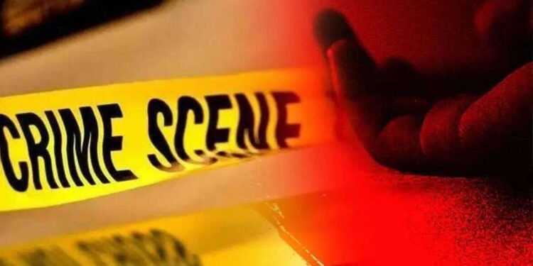 माळशिरस तालुक्यात दिवसाढवळ्या दोघांची चाकूने सपासप वार करून हत्या करण्यात आली आहे.