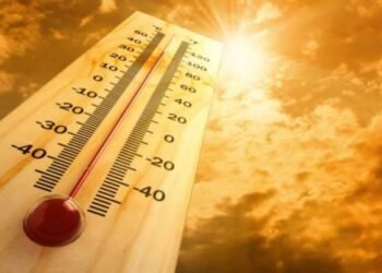 हवामान खात्याच्या अंदाजनुसार पुढील दोन दिवस उष्णतेची लाट असणार आहे.