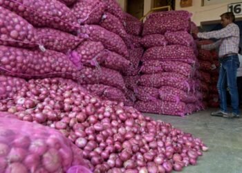 सरकारने कांदा निर्यातीवर लावले 40 टक्के शुल्क