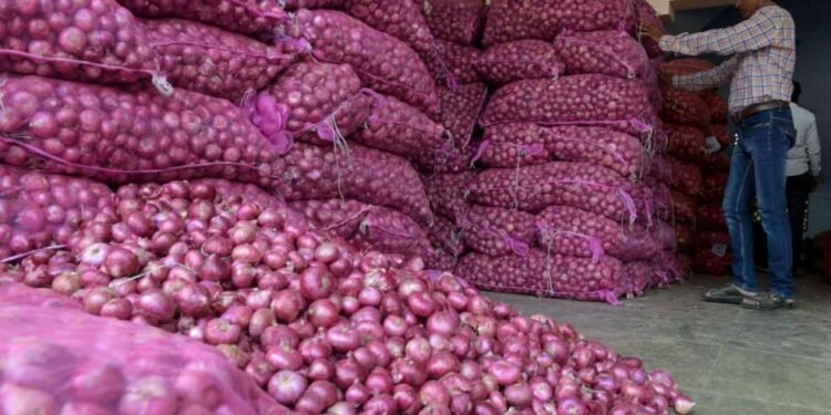 सरकारने कांदा निर्यातीवर लावले 40 टक्के शुल्क