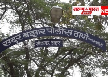 सोलापूर जिल्ह्यातील या माजी महिला सरपंच विरोधात अखेर गुन्हा दाखल  ; शेवटी अंगलट आलेच