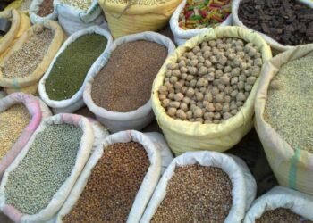 गोंदियात 541 कोटी रुपयांचे धान्य खराब होण्याच्या मार्गांवर