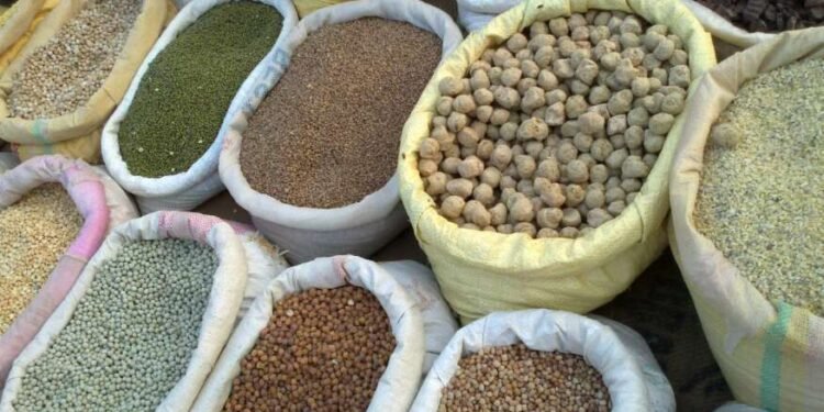 गोंदियात 541 कोटी रुपयांचे धान्य खराब होण्याच्या मार्गांवर