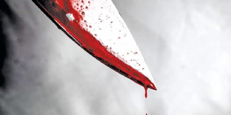 आईला मारहाण करत असल्याचा राग; दरवाजा लावून लेकानं वडिलांना संपवलं