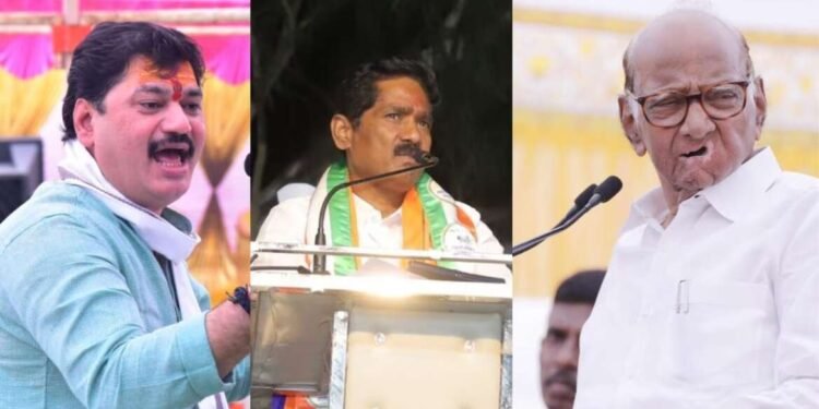 पुष्पाची सिरीज येणार, धनंजय मुंडेंचा चंदनावरुन बजरंग सोनवणेंवर हल्ला, पवारांना म्हणाले, मराठा आरक्षणावर बोला