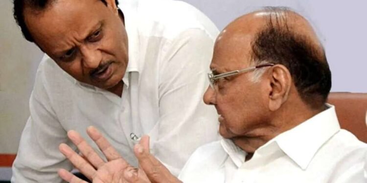 मी शरद पवारांचा मुलगा नाही म्हणून… ; भर सभेत अजित पवार थेटच बोलले!