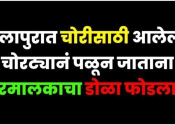 सोलापुरात चोरट्याने पळून जाताना घरमालकाचा फोडला डोळा