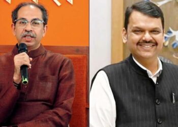 माकड म्हणणाऱ्या उद्धव ठाकरेंना देवेंद्र फडणवीसांचं जशास तसं उत्तर, म्हणाले, त्यांना चांगल्या डॉक्टरची गरज!