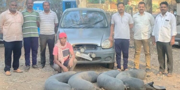 राज्य उत्पादन शुल्क विभागाने अवैध दारू निर्मिती, विक्री व वाहतुकीविरुद्ध कारवाई तीव्र