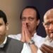 शरद पवारांसोबत राहून अस्तित्व नाही हे लक्षात आल्यानंतर अजित पवार आमच्यासोबत: देवेंद्र फडणवीस