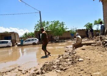 अफगाणिस्तानमध्ये मुसळधार पावसामुळे ३१५ जणांचा मृत्यू; मदतीची मागणी