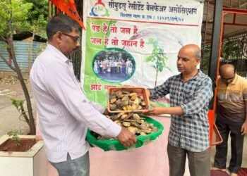 आंब्याच्या कोयी संकलन उपक्रमाला नागरिकांचा उत्साही प्रतिसाद