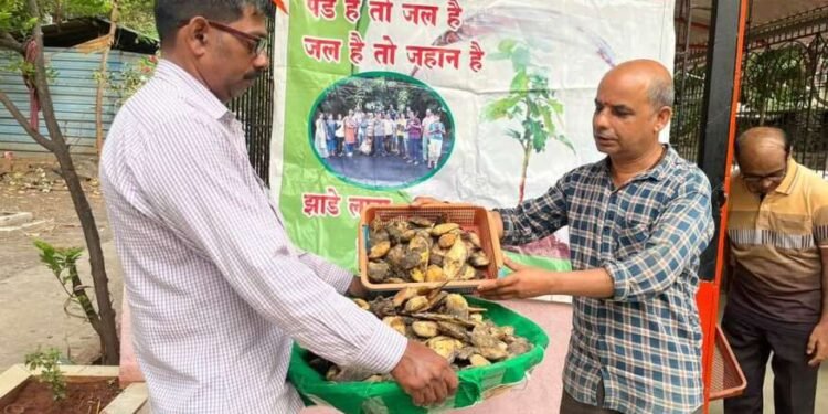 आंब्याच्या कोयी संकलन उपक्रमाला नागरिकांचा उत्साही प्रतिसाद