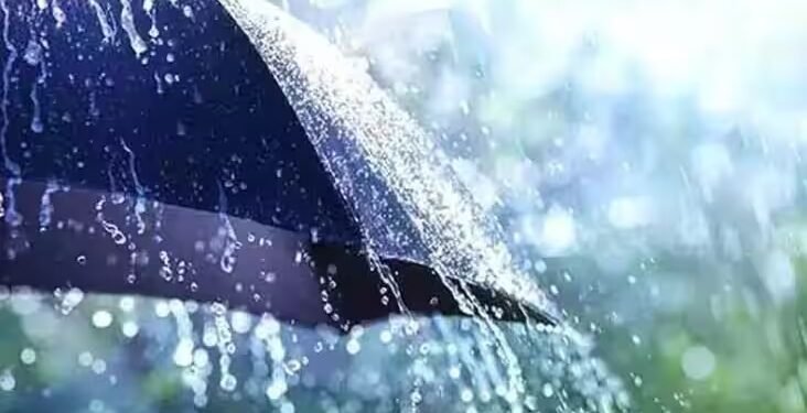 कुठं पडणार पाऊस, कुठं घेणार विश्रांती? पंजाबराव डखांनी वर्तवला नवीन अंदाज