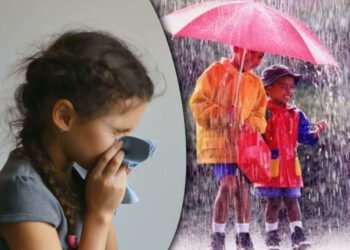 ‘आला पावसाळा; आरोग्य सांभाळा’ !