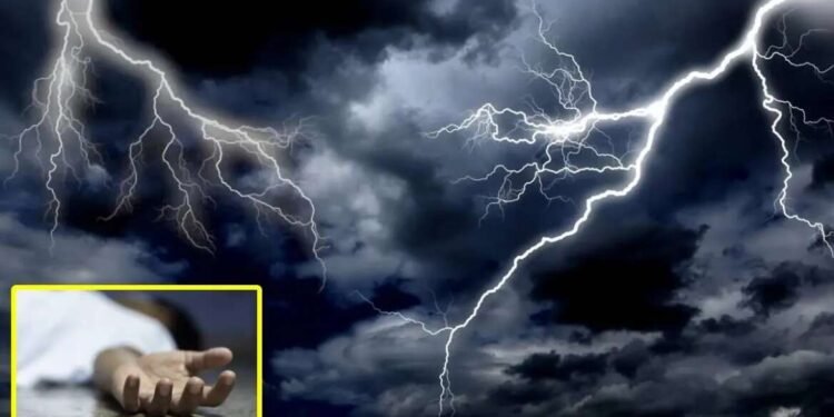 सोलापुरात वीज पडून दोघांचा मृत्यू ; शेळ्याही दगावल्या