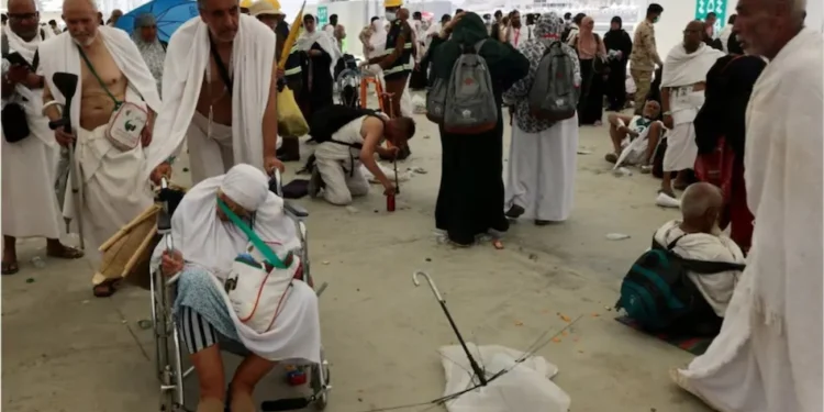 हज यात्रेला गेलेल्या ५६२ यात्रेकरूंचा मृत्यू